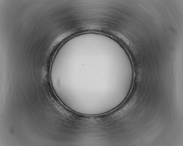 X0000112110922200909011142