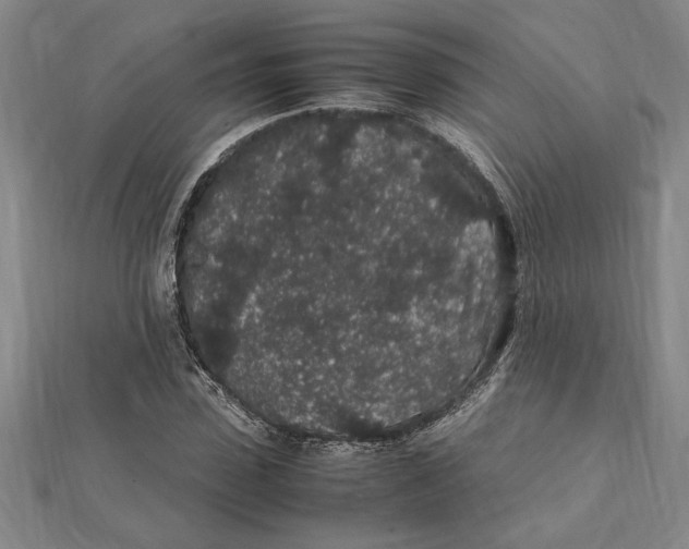 X0000112110923200909011142