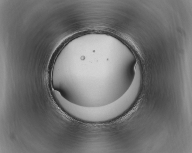 X0000112110924200909011142