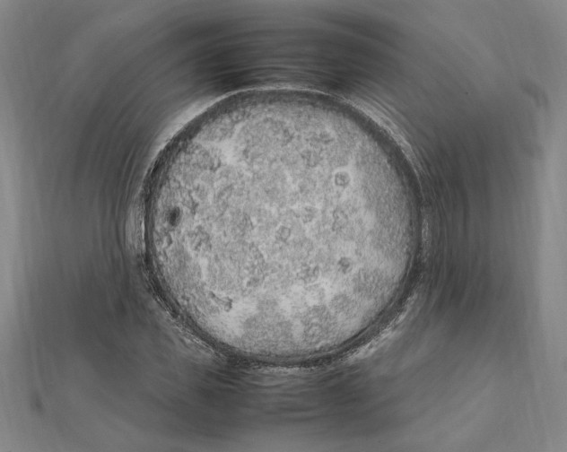 X0000112110925200909011143