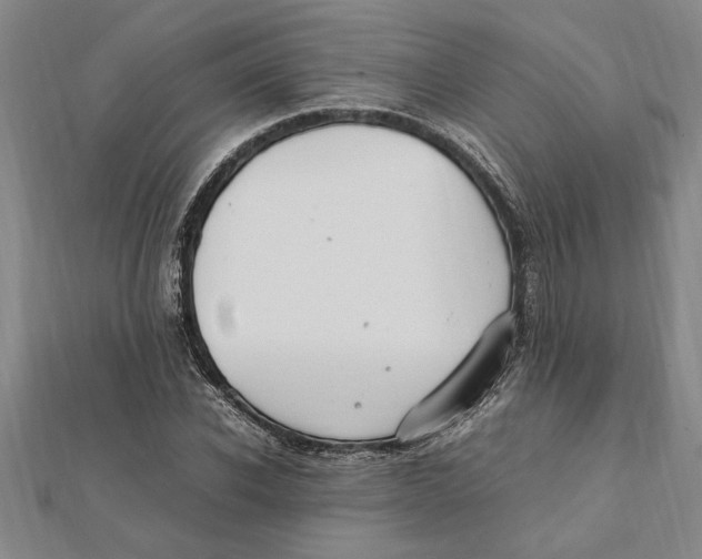 X0000112110926200909011143
