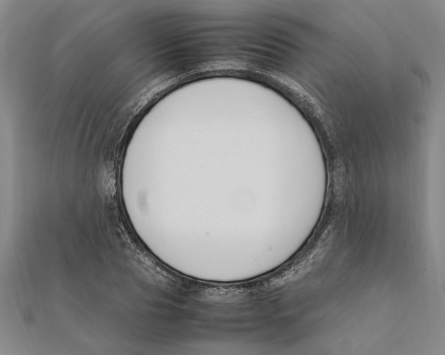 X0000112110929200909011143
