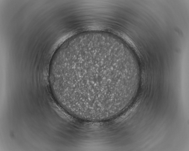 X0000112110930200909011143