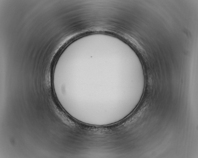 X0000112110934200909011143