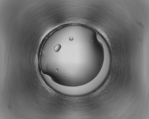 X0000112110936200909011143