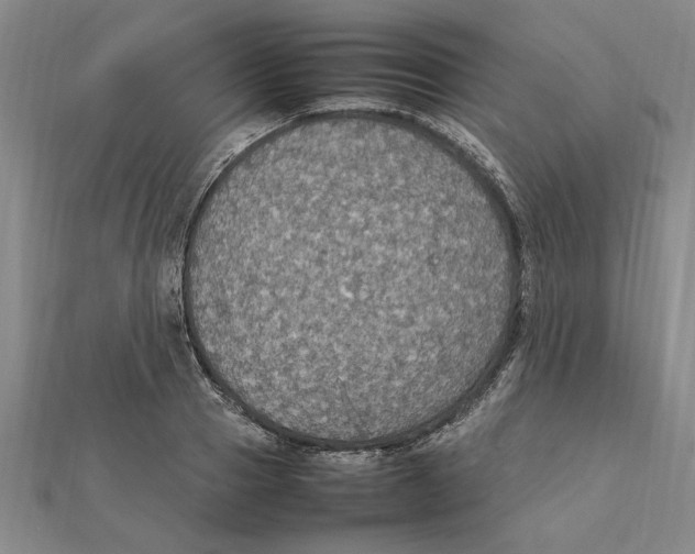 X0000112110937200909011143
