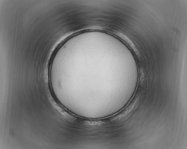 X0000112110939200909011143