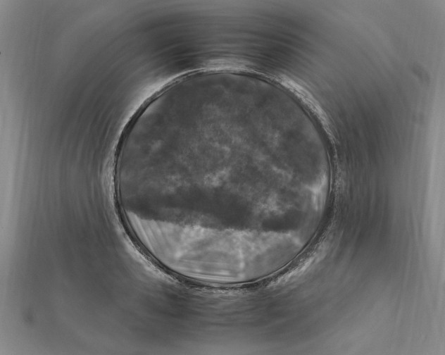 X0000112110941200909011143