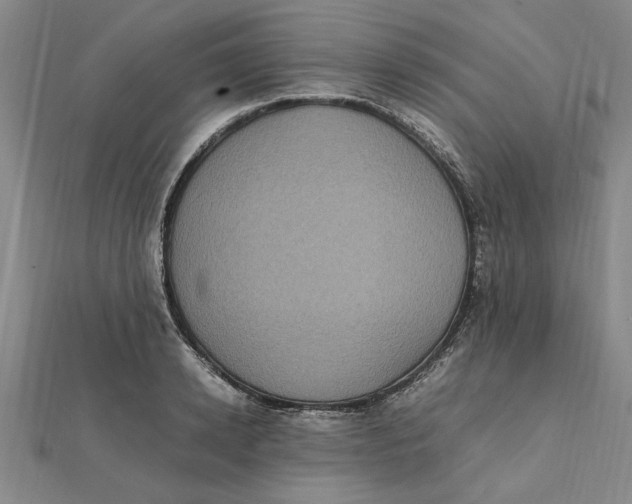 X0000112110942200909011143