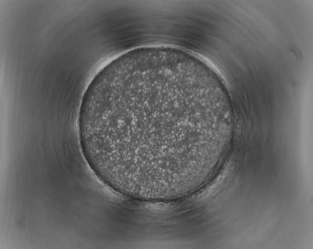 X0000112110943200909011143