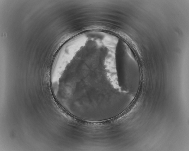 X0000112110945200909011143