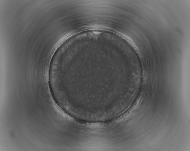 X0000112110946200909011143