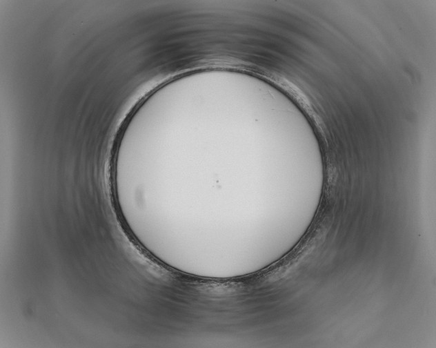 X0000112110947200909011143