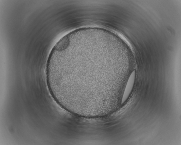 X0000112110951200909011143