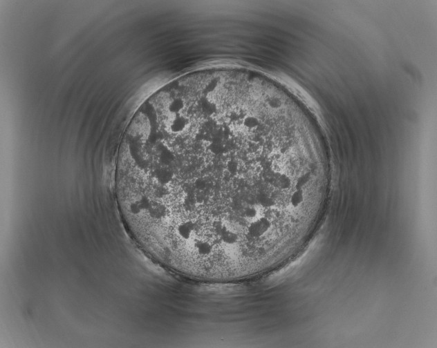 X0000112110953200909011143