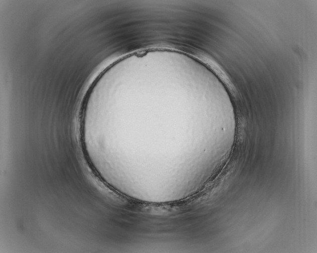 X0000112110955200909011143