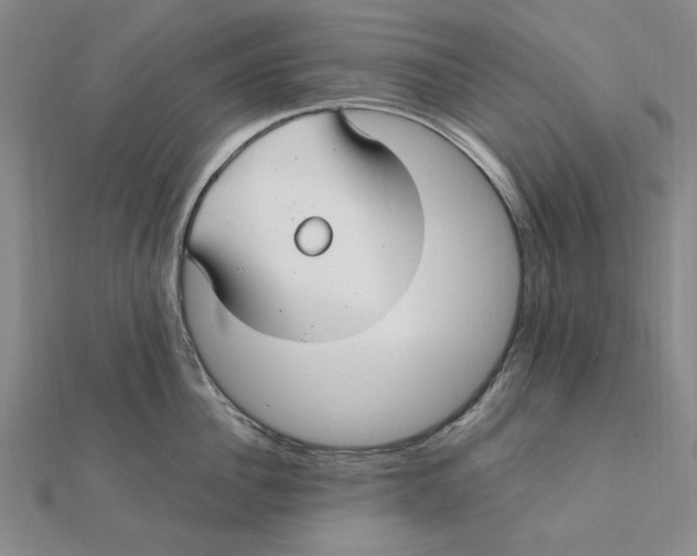 X0000112110956200909011143