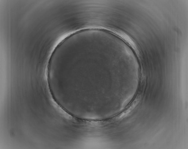 X0000112110958200909011143