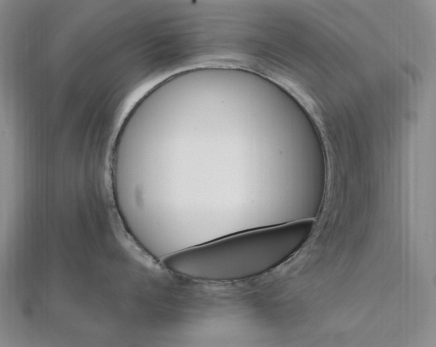 X0000112110960200909011143