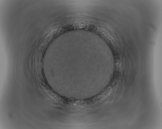 X0000112110961200909011142