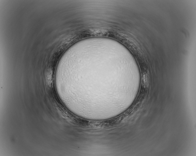 X0000112110963200909011142