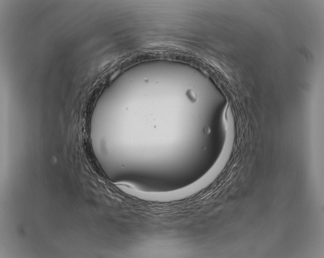 X0000112110965200909011142