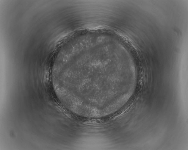 X0000112110966200909011142