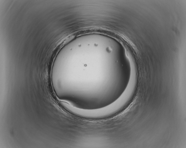 X0000112110969200909011142