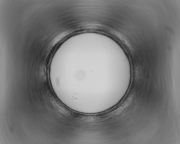 X0000112110970200909011142
