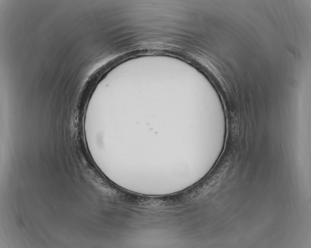 X0000112110971200909011142