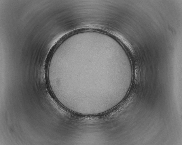 X0000112110972200909011142