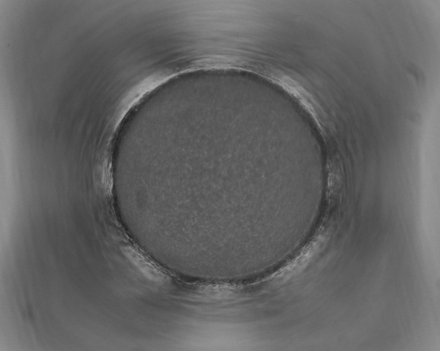 X0000112110973200909011142