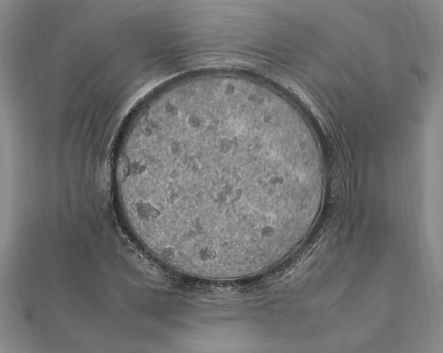 X0000112110975200909011142