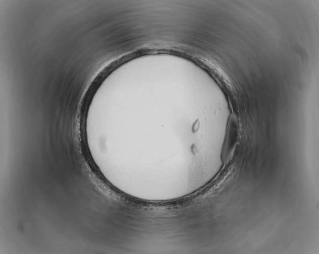 X0000112110976200909011142