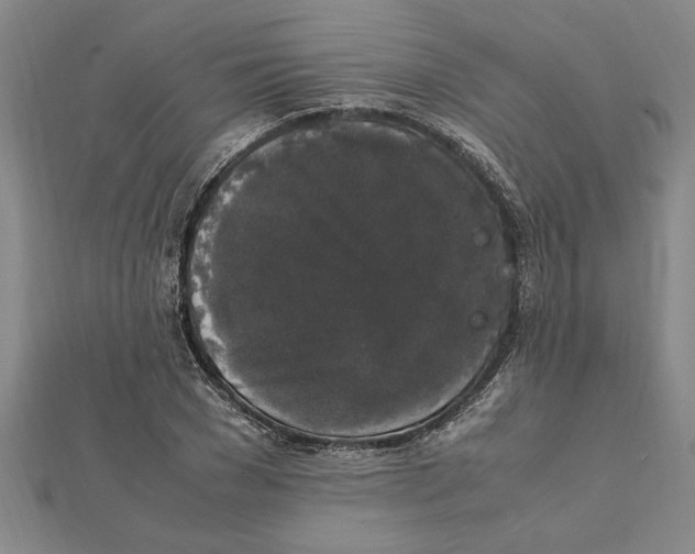 X0000112110977200909011142