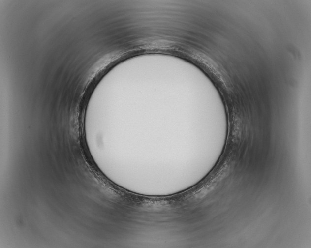 X0000112110978200909011142