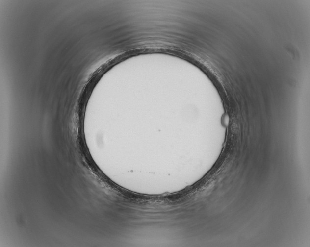 X0000112110979200909011142
