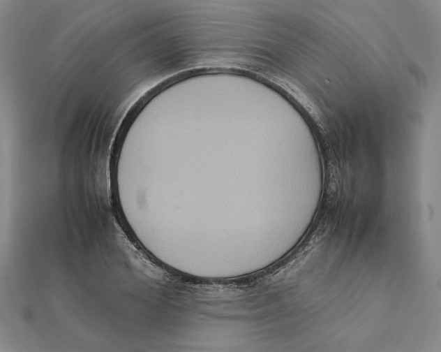 X0000112110980200909011142