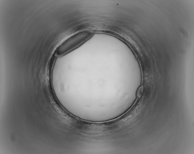 X0000112110981200909011142