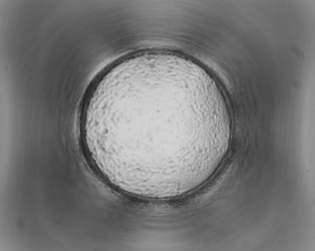 X0000112110983200909011142
