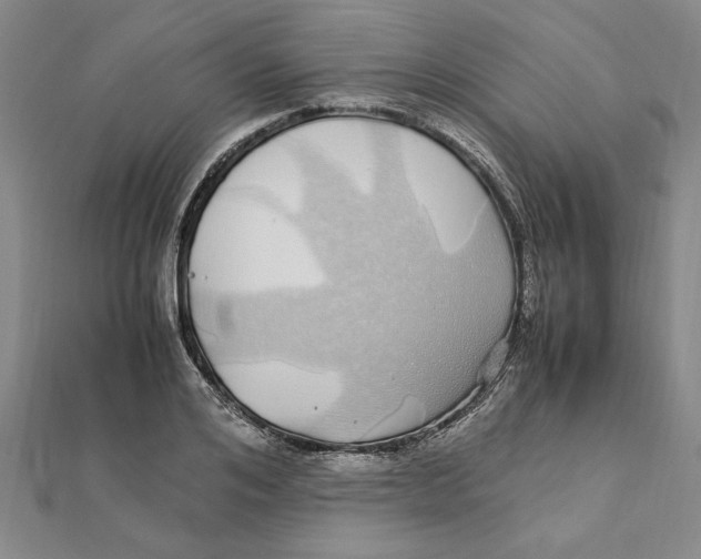 X0000112110984200909011142