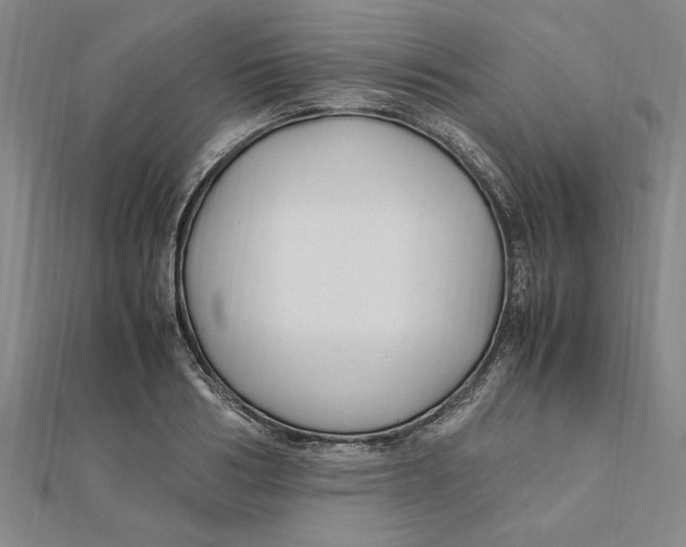 X0000112110986200909011142