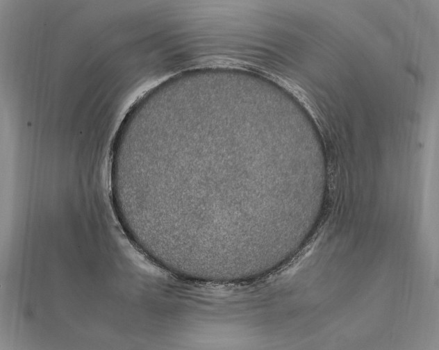 X0000112110987200909011142
