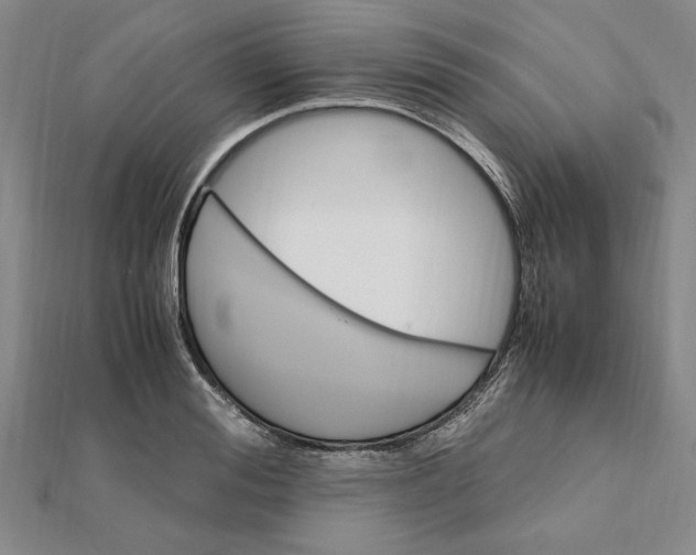 X0000112110988200909011142