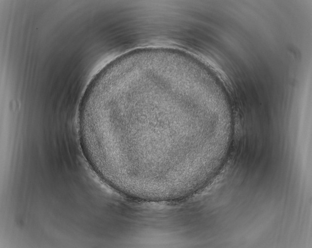 X0000112110990200909011142
