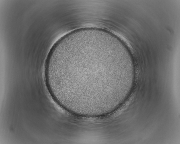 X0000112110991200909011142