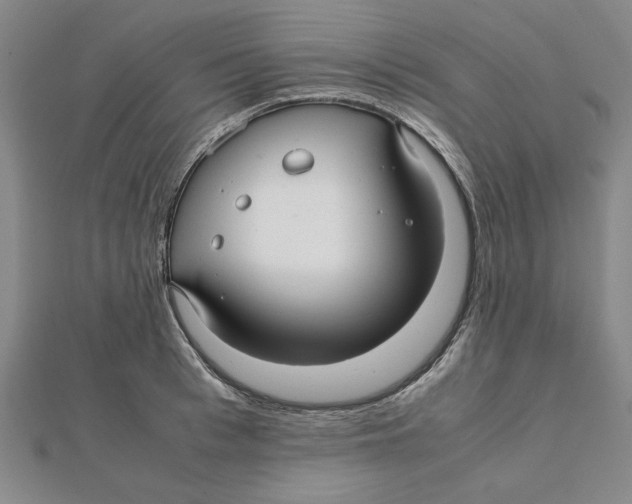 X0000112110993200909011142