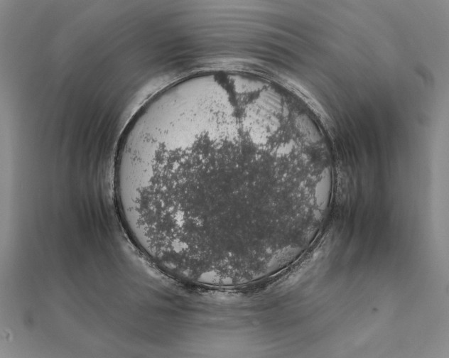 X0000112110994200909011142