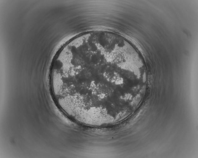 X0000112110995200909011142