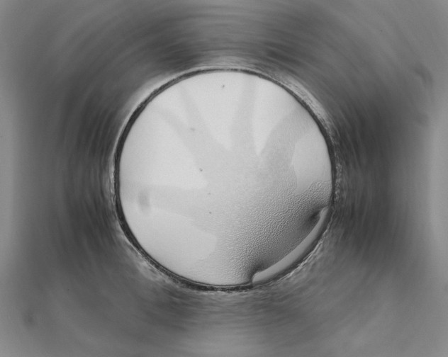 X0000112110996200909011142